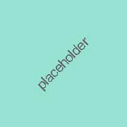 Lowlands Lace Blouse